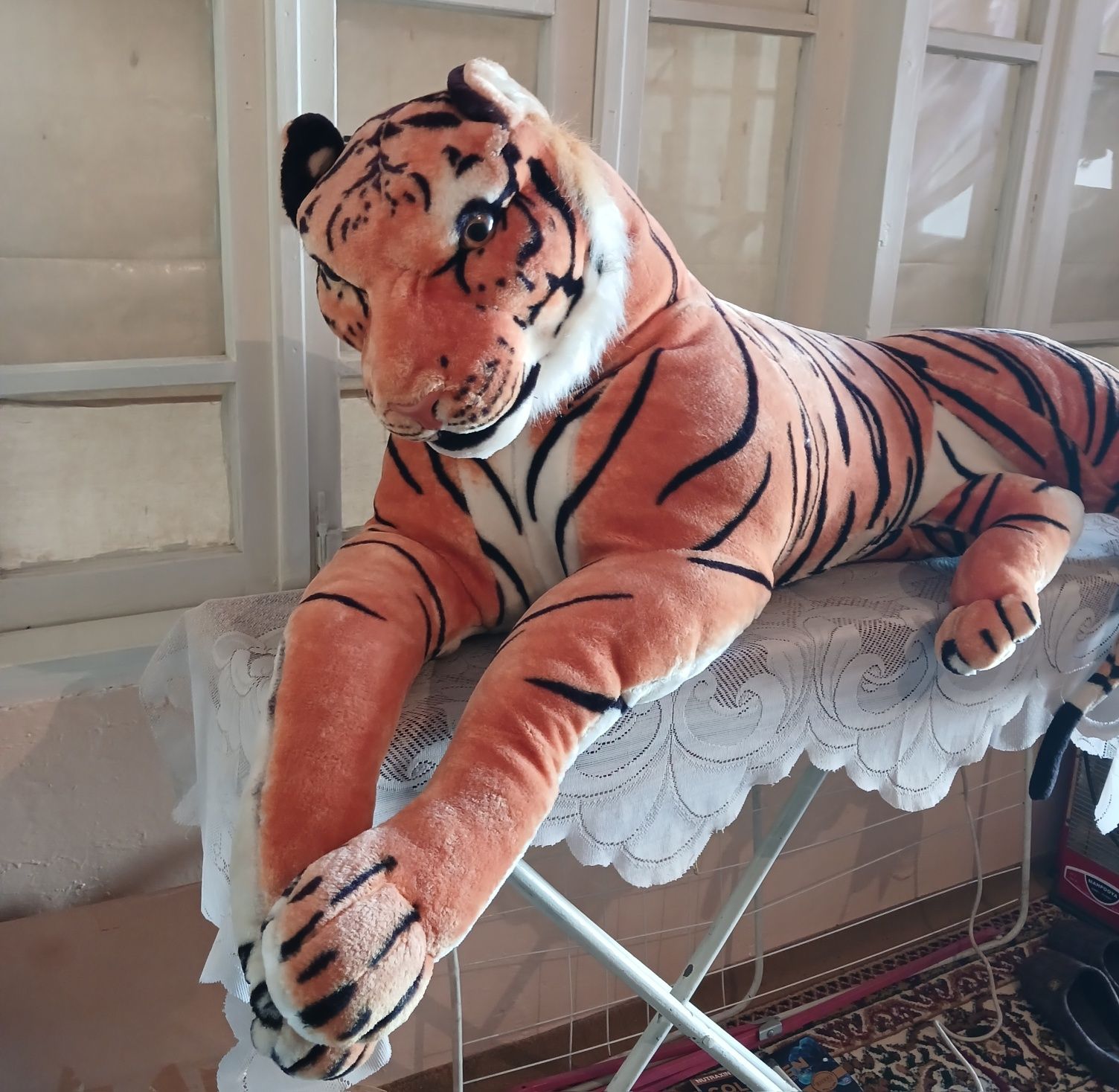 Yumshoq tiger kattagina