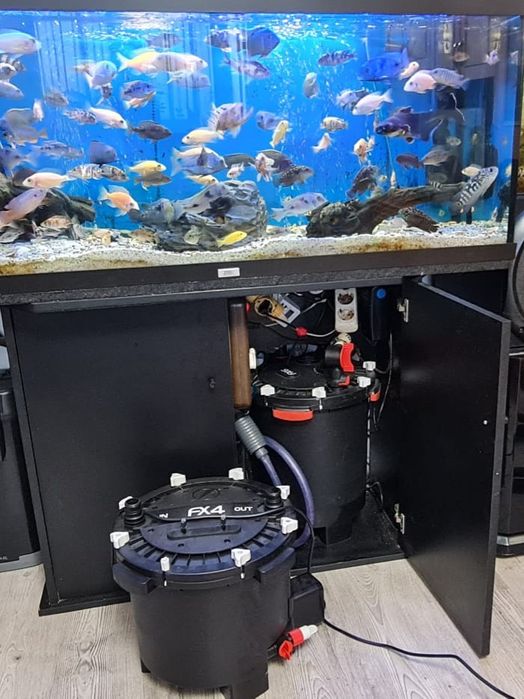 Fluval Fx6 filtru acvariu si acvarii de 180 si 330 litri sump
