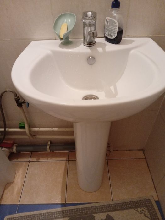 раковина с тюльпаном.