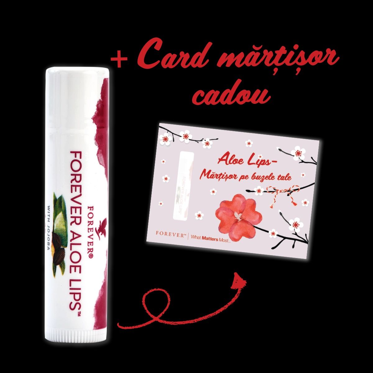 Aloe lips 21 lei