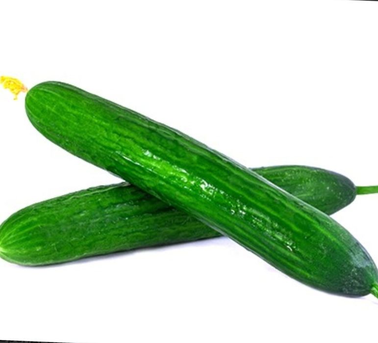 Продам огурцы свежие