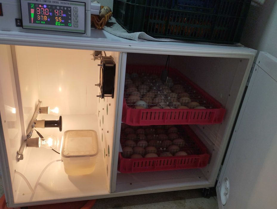 Incubator 180 utilizat