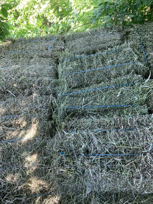 Vand baloti : paie , fan si lucerna