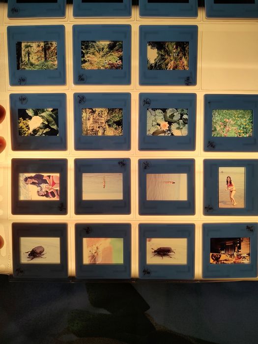 Lot 15 cutii dispozitive+ clasor diapozitive