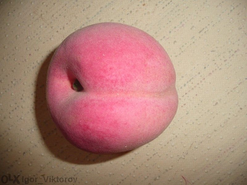 Декорация плод