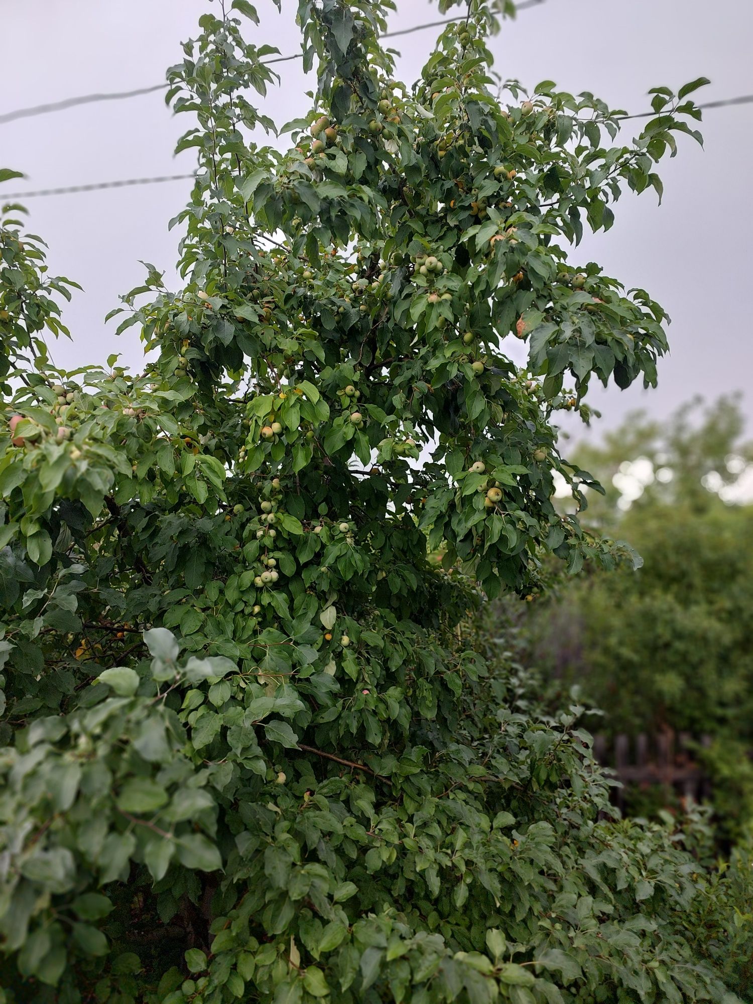 Продам дачу район  п.Ахмирово