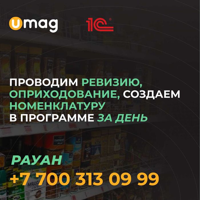 Инвентаризация. Ревизия. Умаг. Umag. Автоматизация