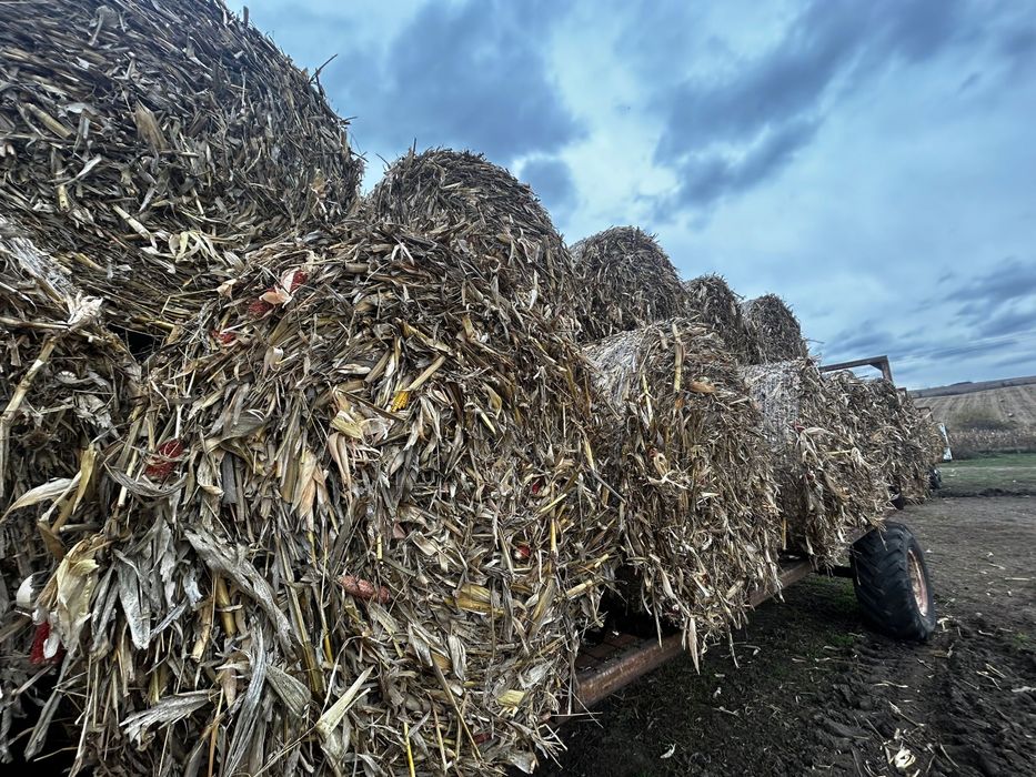 Baloti porumb,lucernă,paie