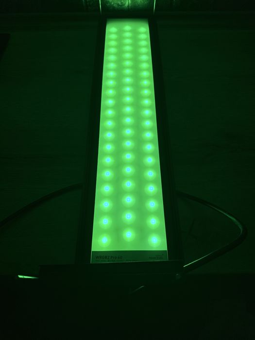 Lumina acvariu apa dulce WRGB2 pro 60