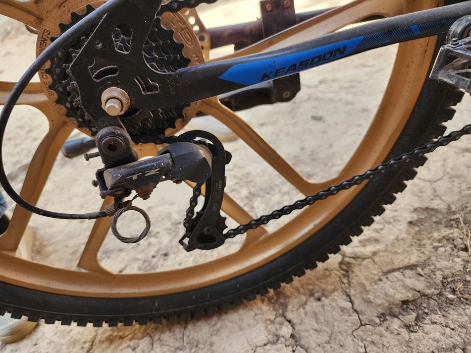 Velosapet model Sport KEASDON Blue