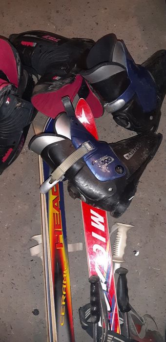 Schiuri clapari bete schiuri