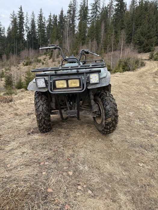 Yamaha Timberwolf 250 cc
