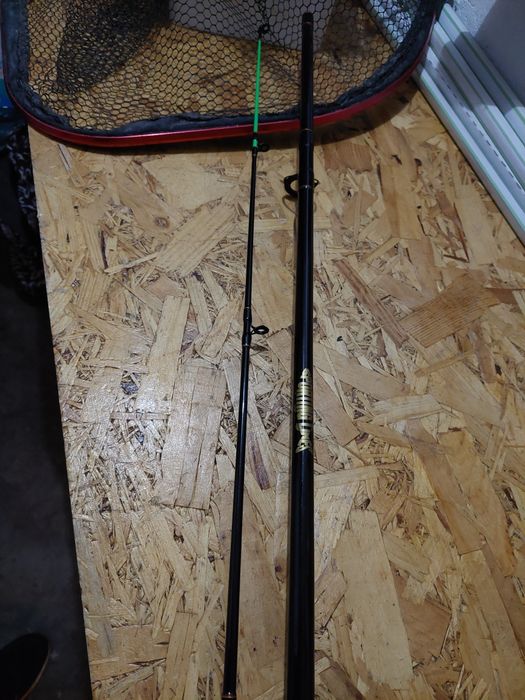 Lanseta sporting lines