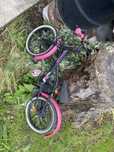 Biciclete  copii