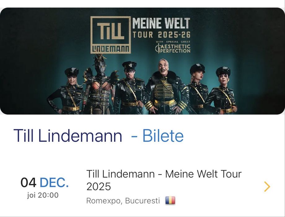 Bilete concert TILL LINDEMANN - front stage