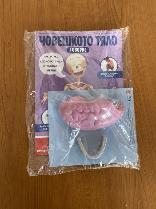 Човешкото тяло-поредца