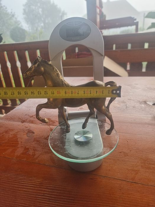 Cal din bronz si alama