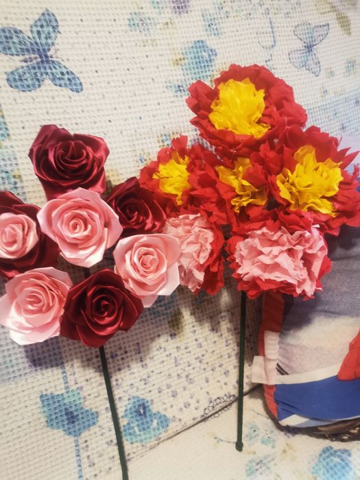 Sorcove diverse culori