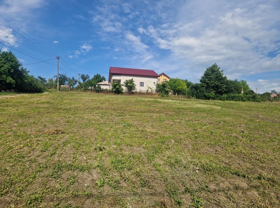 Teren intravilan 1000 mp sat ORZENI comuna HOLBOCA