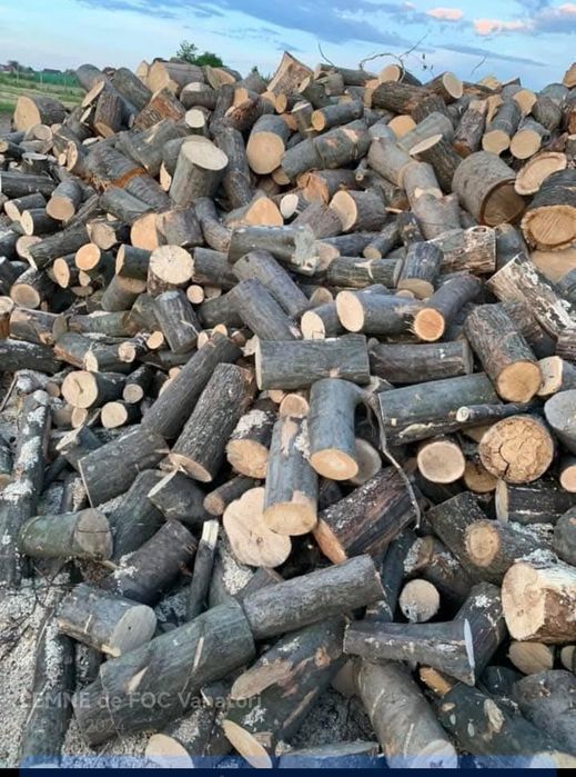 Lemn pentru  foc
