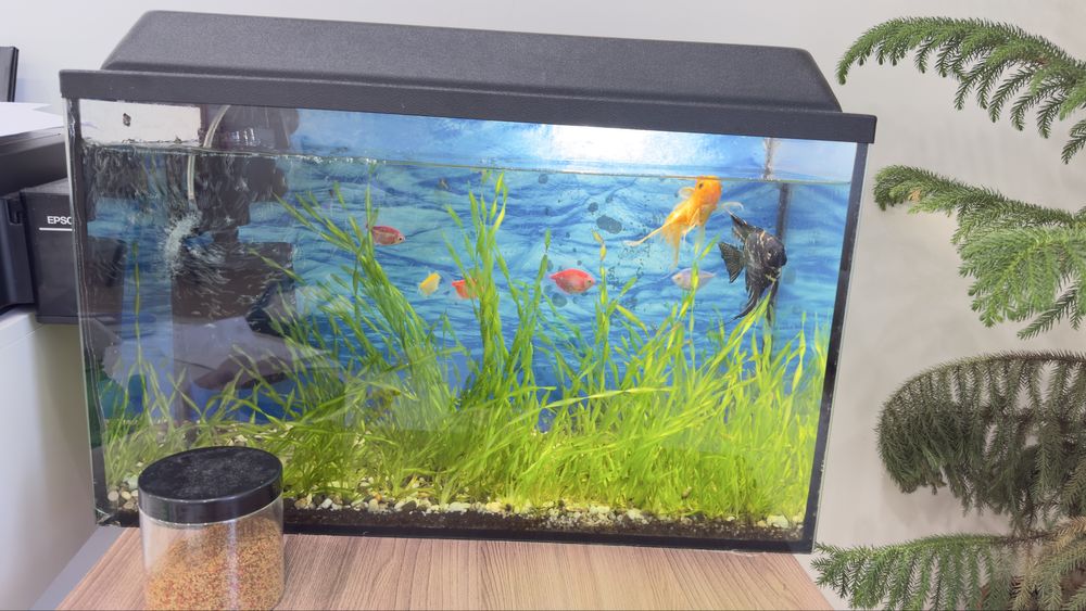 Продам аквариум с рыбками