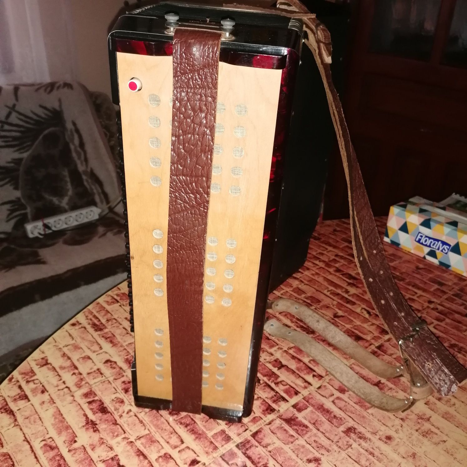 Acordeon marca HORCH