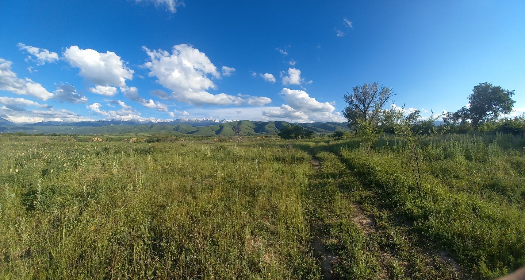 Участки  в Долане