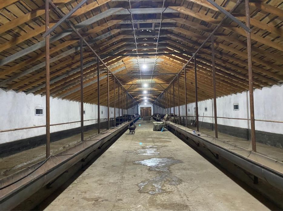 Продается производственная база/фазенда (крестьянское хозяйство)