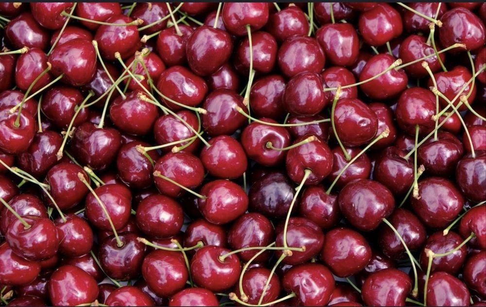 Продам свежую, крупную, отборную вишню 1000 тг за литр последние ягоды
