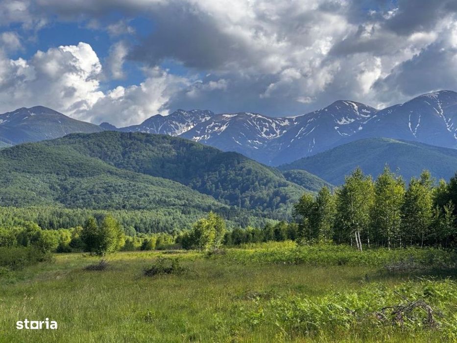 Teren  de vanzare -PUZ aprobat | 860 mp |  Valea Avrigului