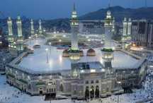 Умра сафари Umra safari 2025