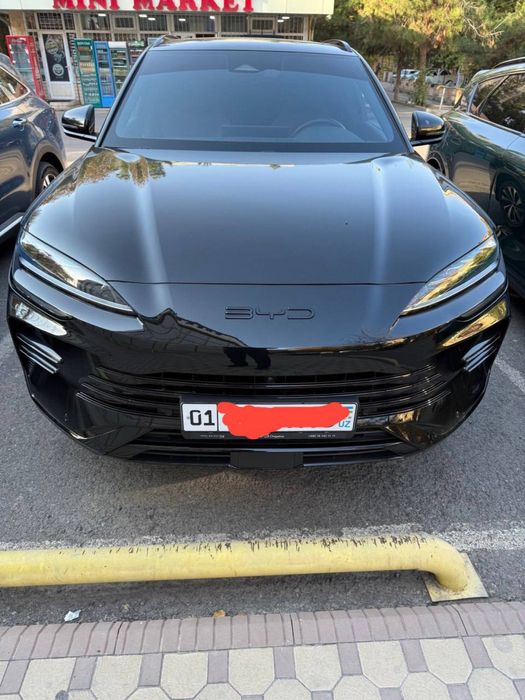 Byd Champion Gibrid 150 km