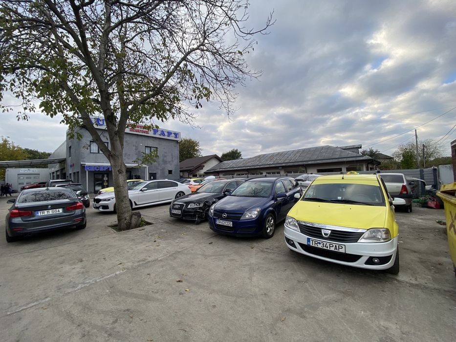 Daune Centru RCA Casco Auto Papy Teleorman