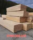 Cherestea rasinoase 900 lei mc producator