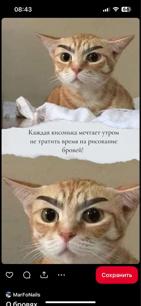 АКЦИЯ!!! Перманент бровей всего за 8.000!!