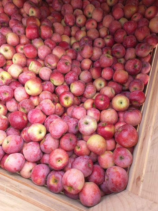 Mere de  consum Diosig