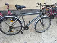 Bicicleta de adulți 26