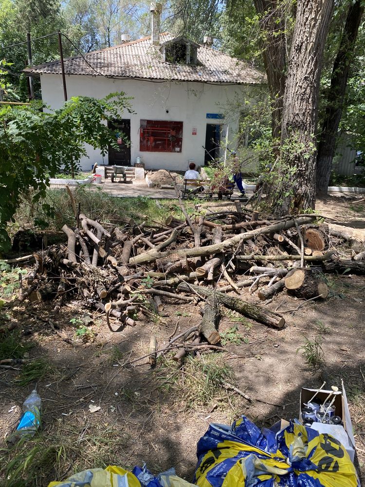 Отдам дрова бесплатно (примерно 1 газель)