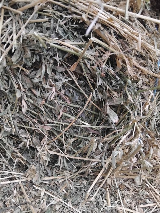 Vând baloti lucerna