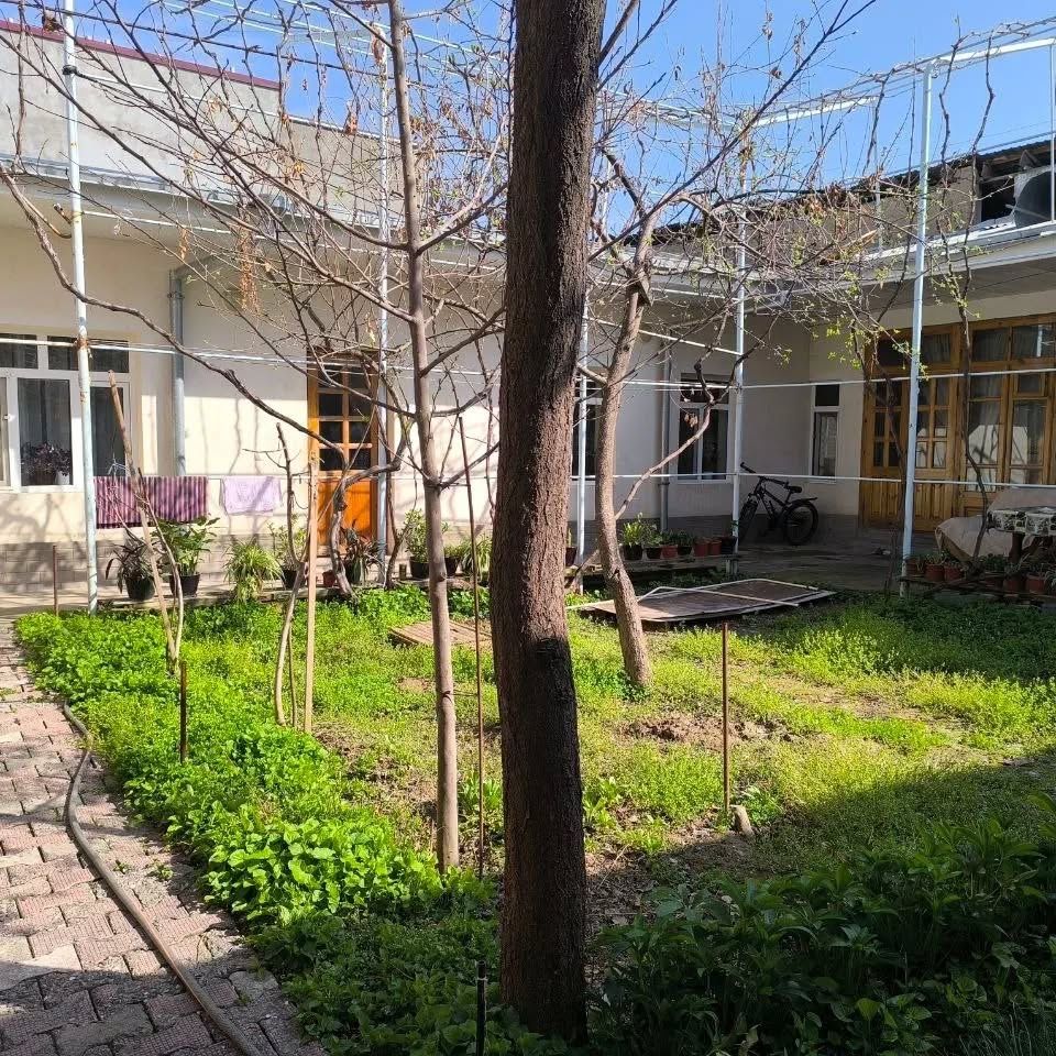 Bodomzordan hovli sotiladi