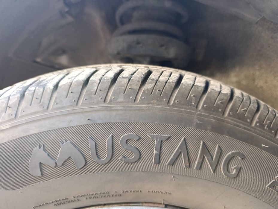 14 diska balon aybi yoq