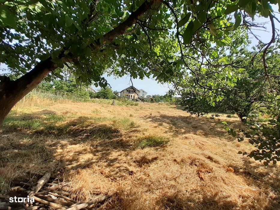 Oportunitate Unică de Investiție Comercială în Letcani!