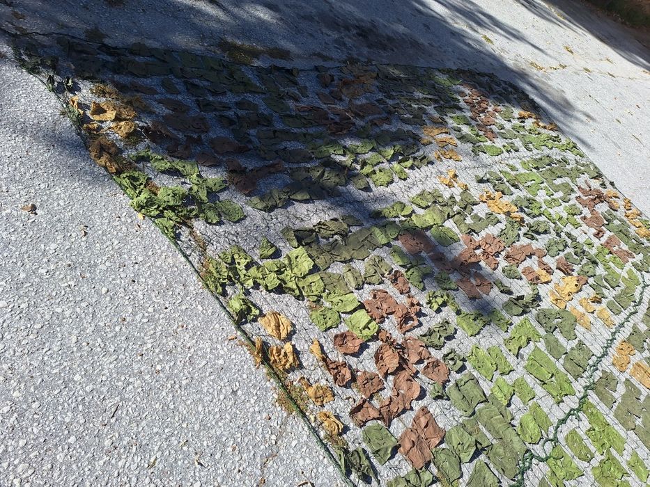 Военна мрежа за сянка