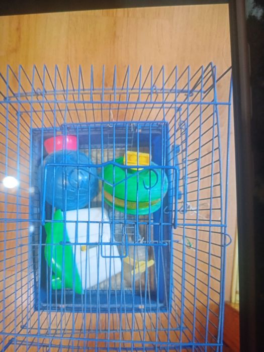 Продам разные клетки для животных и птиц