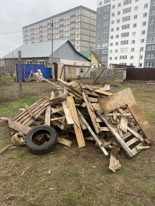Тегін  Отын. Стройкадан калган курак кесілген агаш калдыктары.