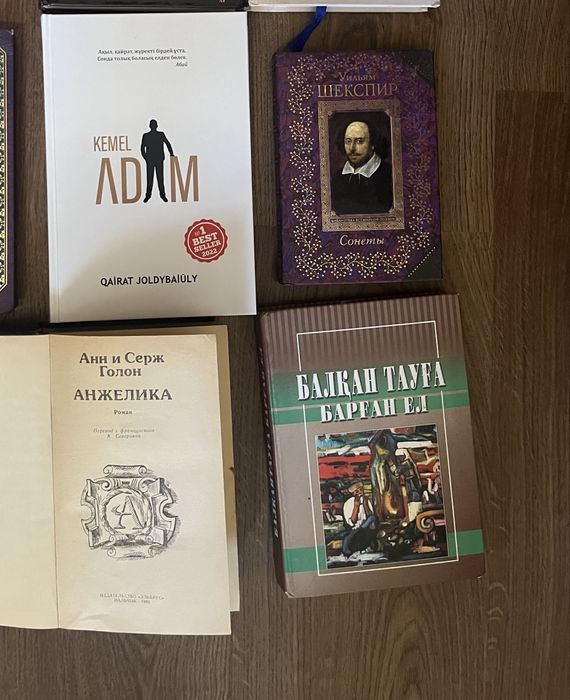 Книги разных писателей художественного и развлекательного жанра……………..