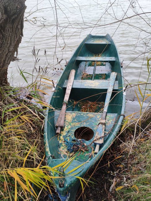 Barca de vanzare (Lotca)