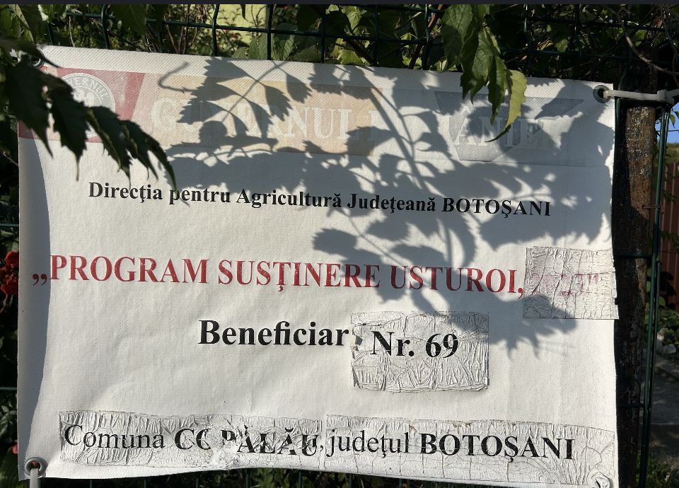Adevăratul usturoi românesc – Copălău BIO