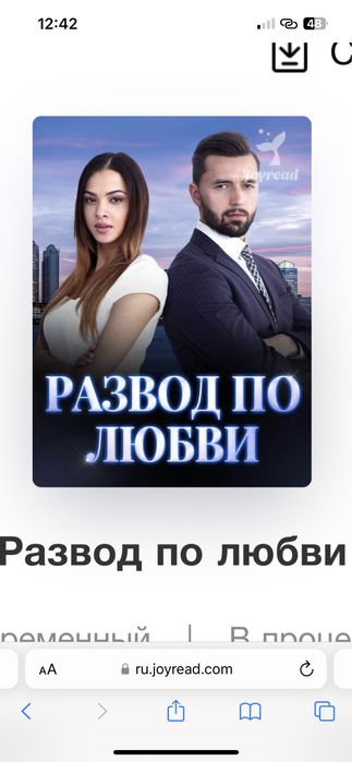 Развод по любви, роман