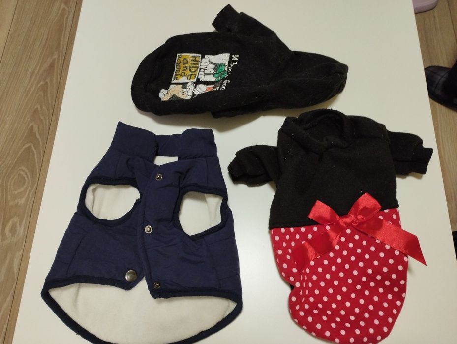 Дрехи за куче, дребна порода